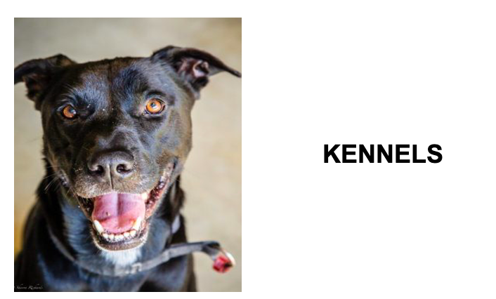 Kennels