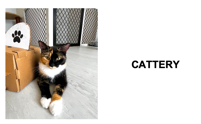 Cattery
